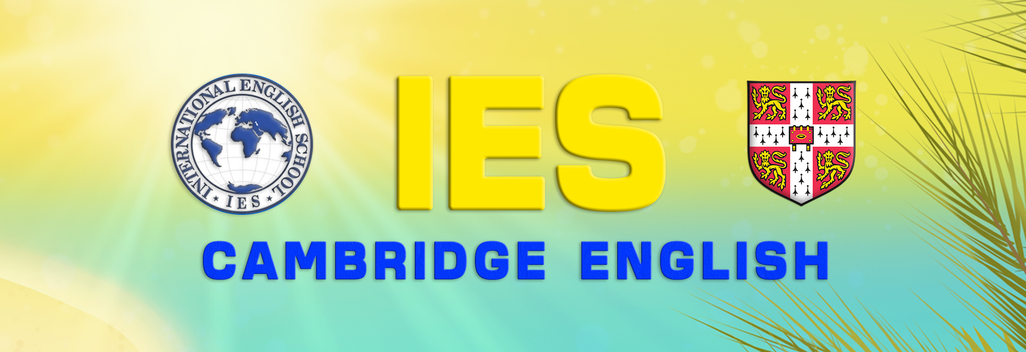Banner IES
